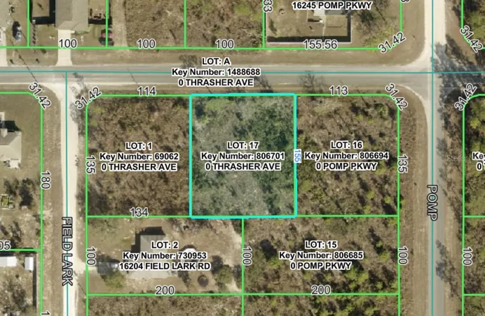 13101 THRASHER AVENUE Weeki Wachee, FL 34614