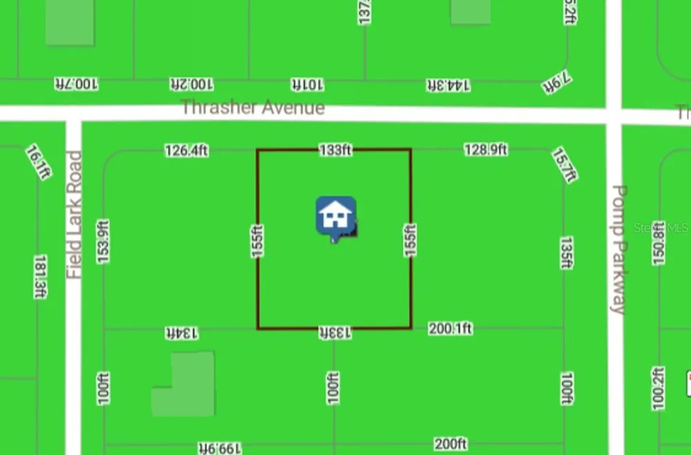 13101 THRASHER AVENUE Weeki Wachee, FL 34614