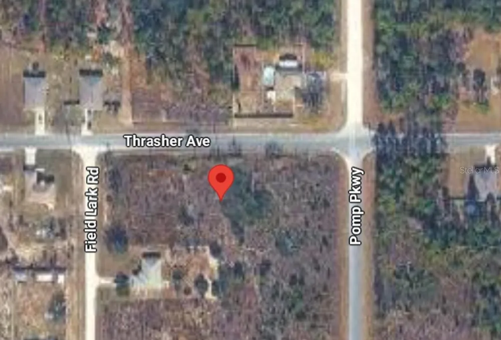 13101 THRASHER AVENUE Weeki Wachee, FL 34614