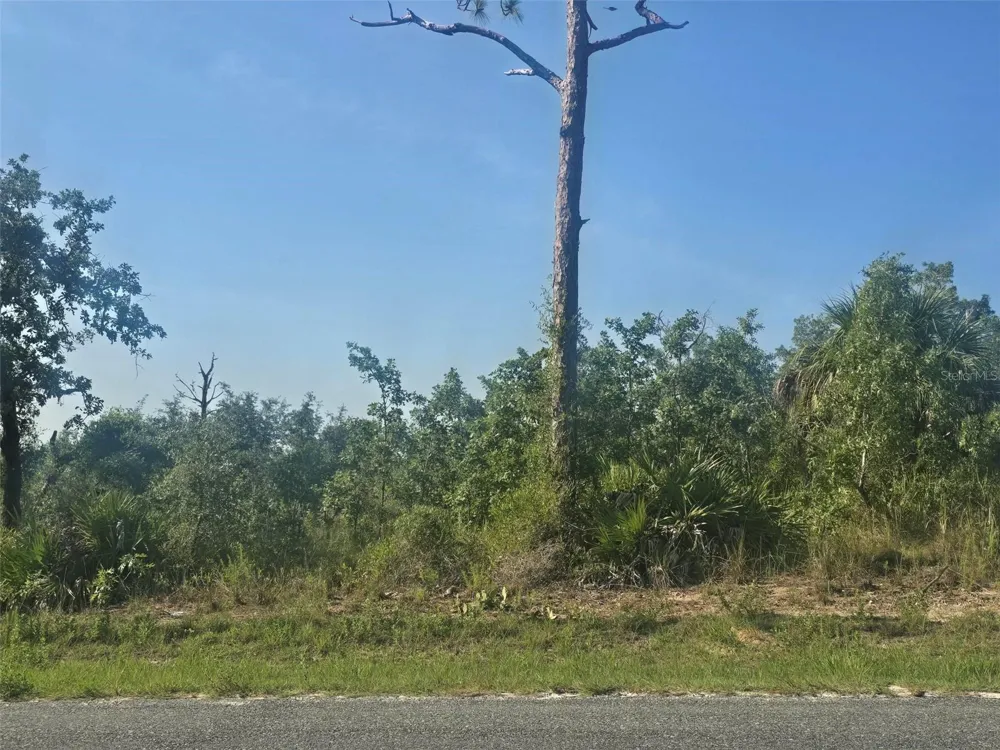 13101 THRASHER AVENUE Weeki Wachee, FL 34614