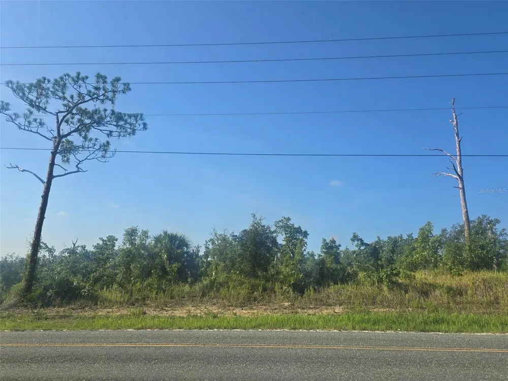 13101 THRASHER AVENUE Weeki Wachee, FL 34614