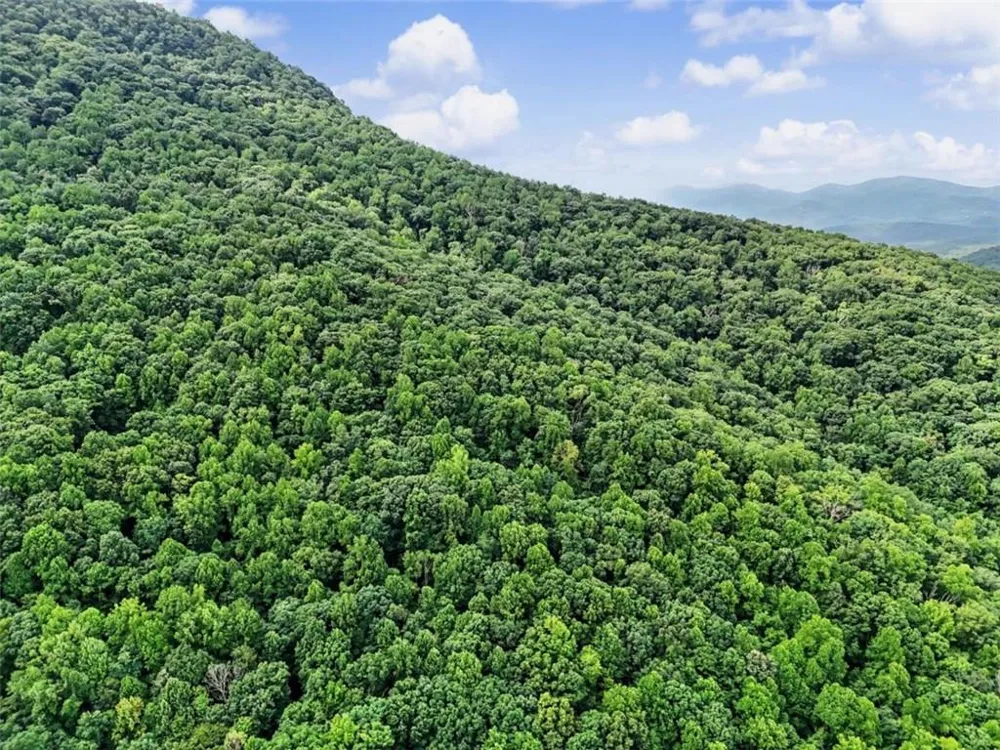 1583 Spring Cove Road Blairsville, GA 30512