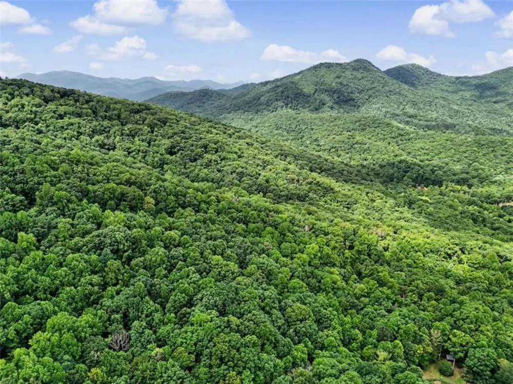 1583 Spring Cove Road Blairsville, GA 30512