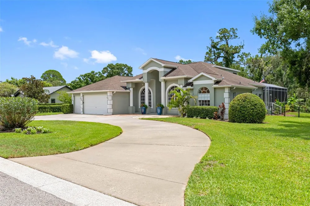 1079 RIVERSIDE RIDGE ROAD Tarpon Springs, FL 34688