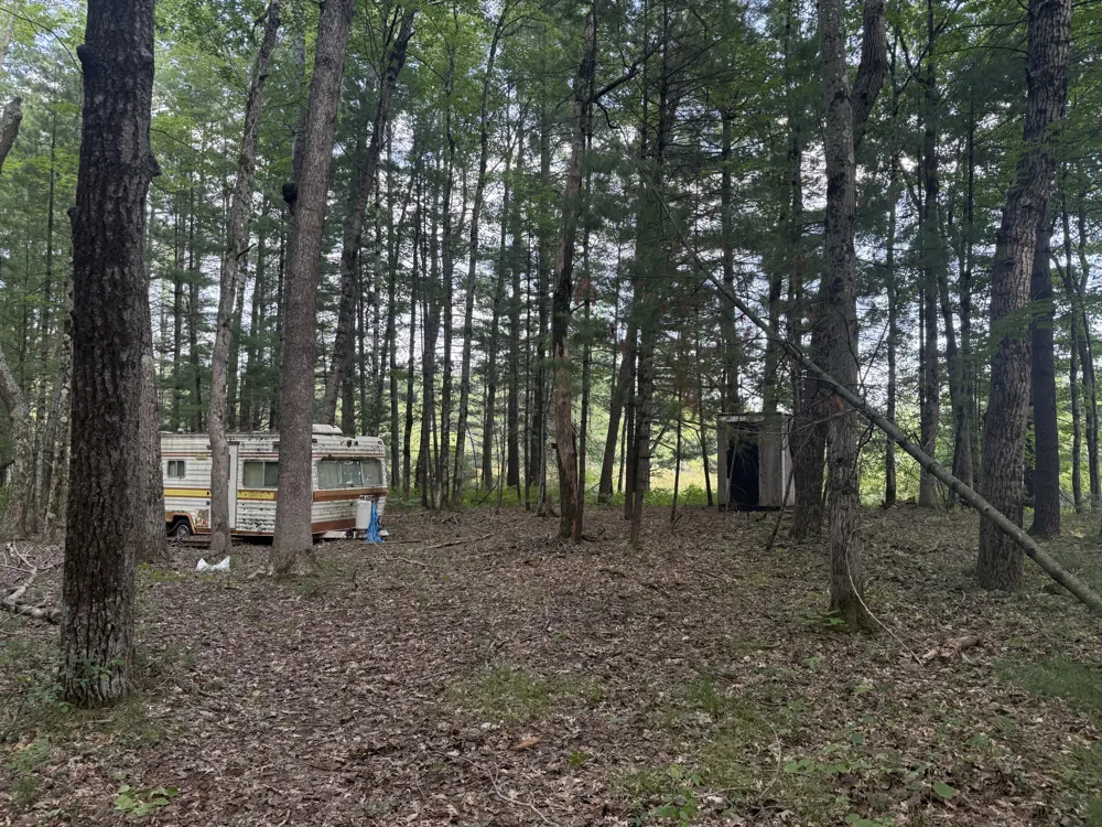 5860 Honeybear Avenue Baldwin, MI 49304