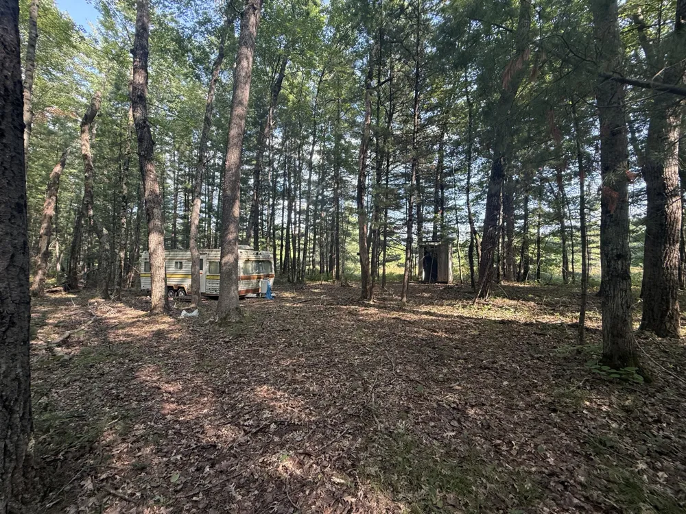 5860 Honeybear Avenue Baldwin, MI 49304