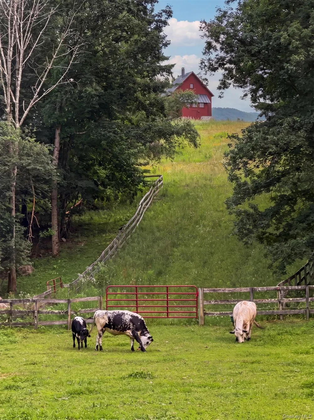 241 Cunningham Hill Road Canaan, NY 12029