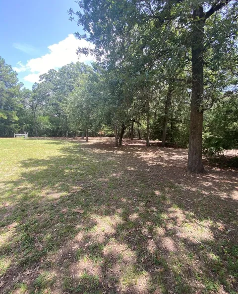 165 Navarro Drive