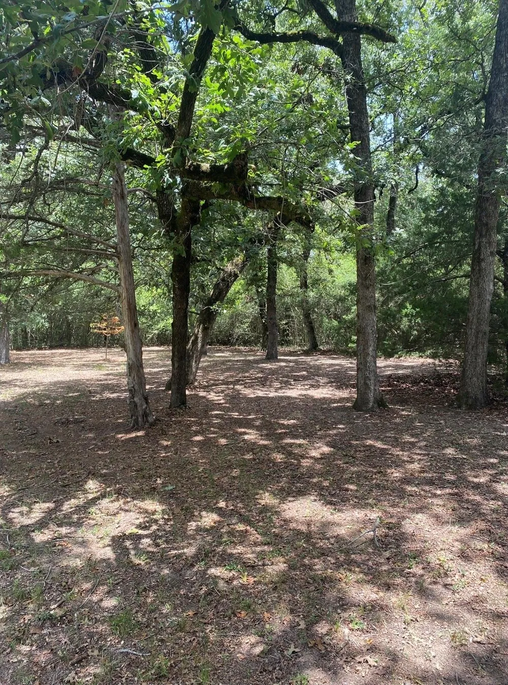 165 Navarro Drive Hilltop Lakes, TX 77871