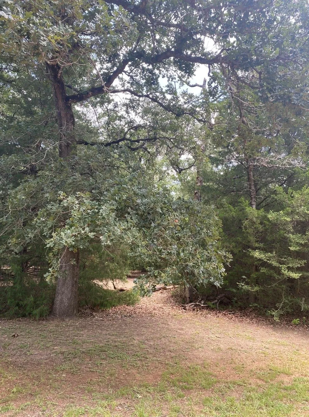 165 Navarro Drive Hilltop Lakes, TX 77871