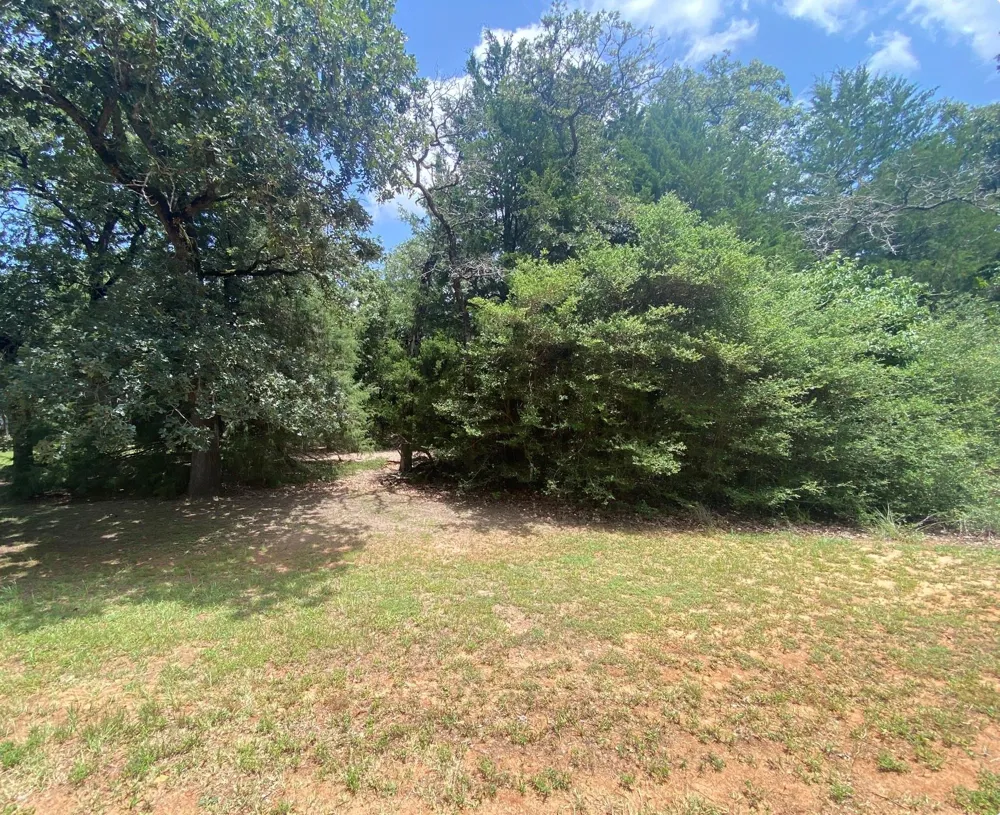 165 Navarro Drive Hilltop Lakes, TX 77871