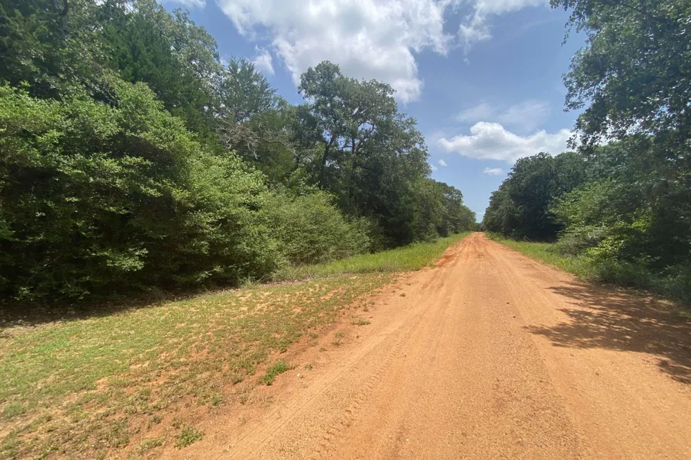 165 Navarro Drive Hilltop Lakes, TX 77871