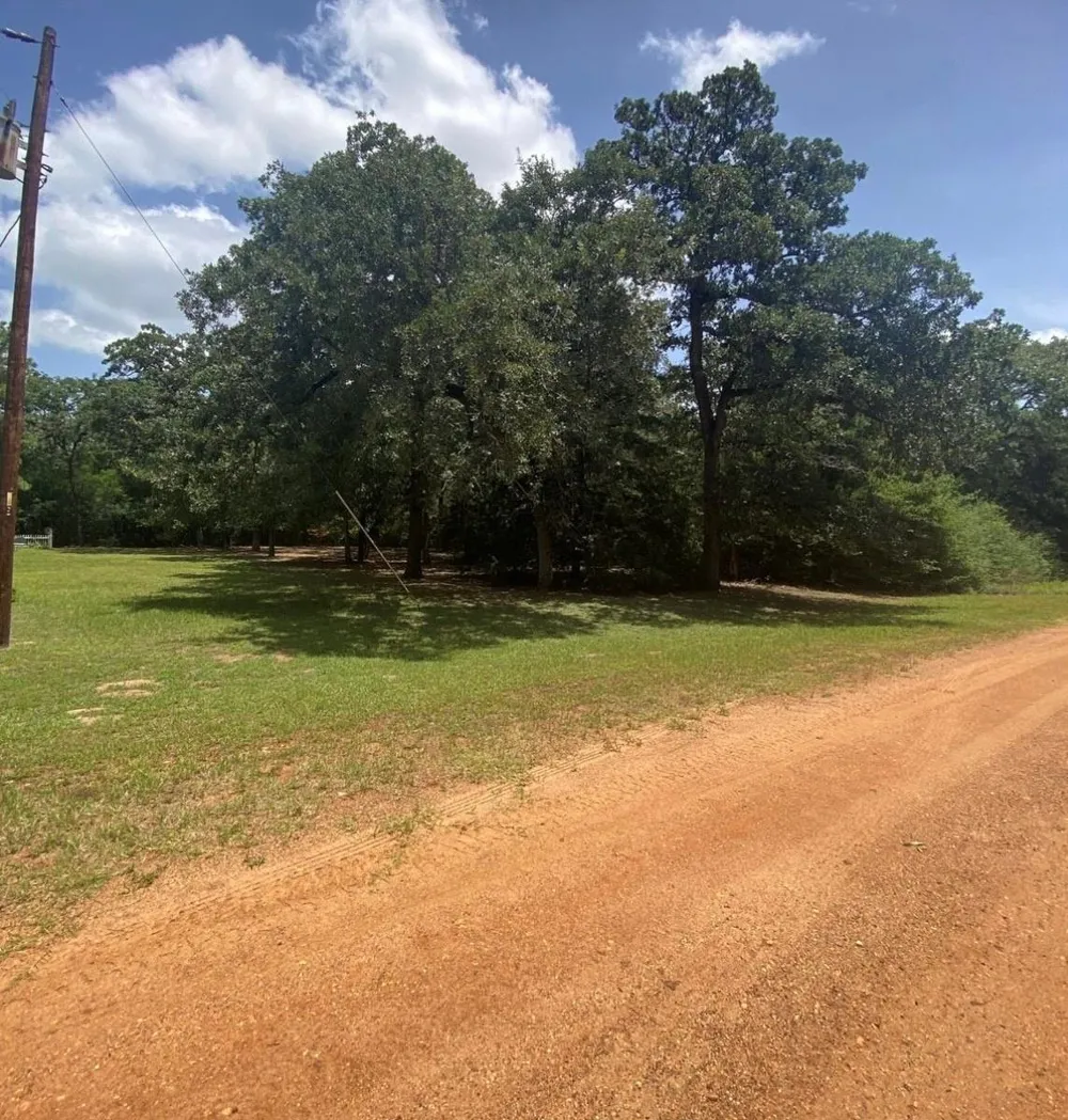 165 Navarro Drive Hilltop Lakes, TX 77871