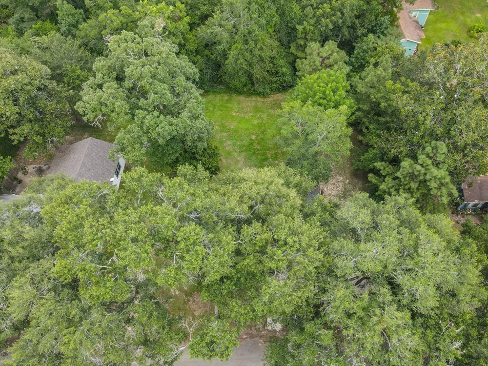 1007 S Pecan Street Woodville, TX 75979