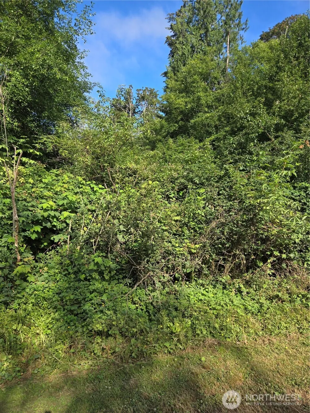 101 A Port Susan Drive Everett, WA 98206