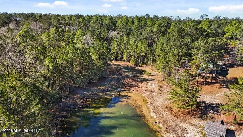 Lot 17 Mitchell Road Leakesville, MS 39451