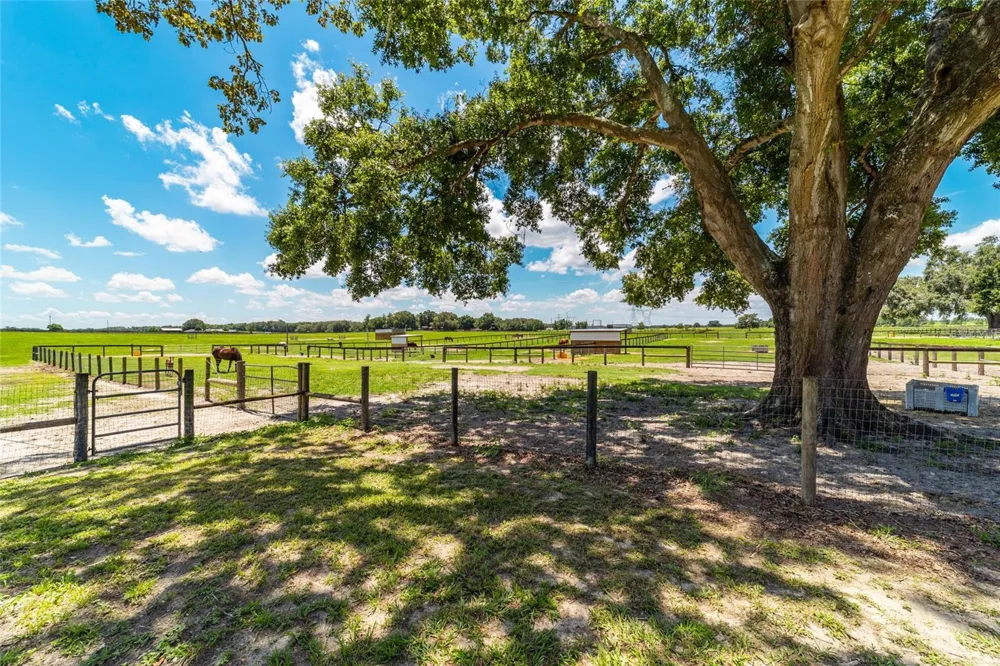 1285 NW 102ND BOULEVARD Wildwood, FL 34785