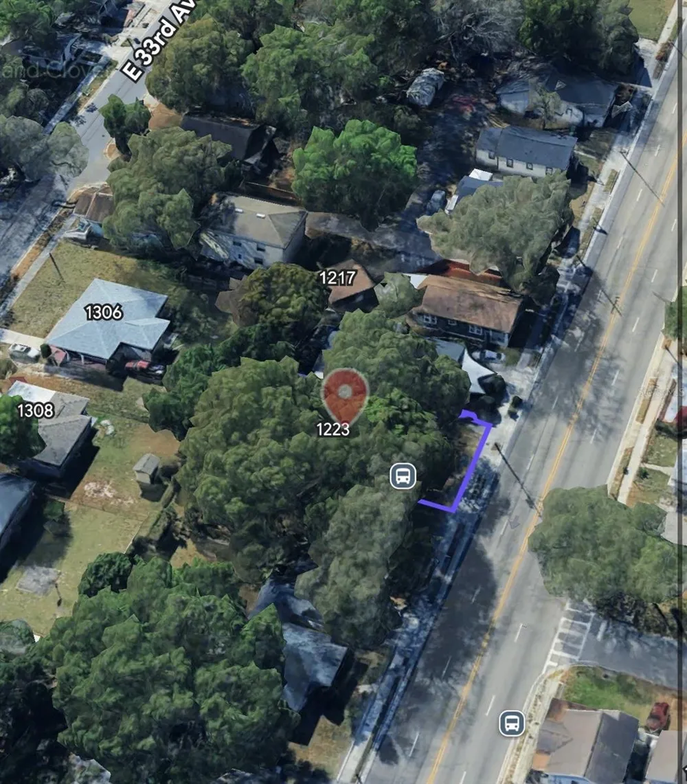 1221 E DR MARTIN LUTHER KING JR BOULEVARD Tampa, FL 33603