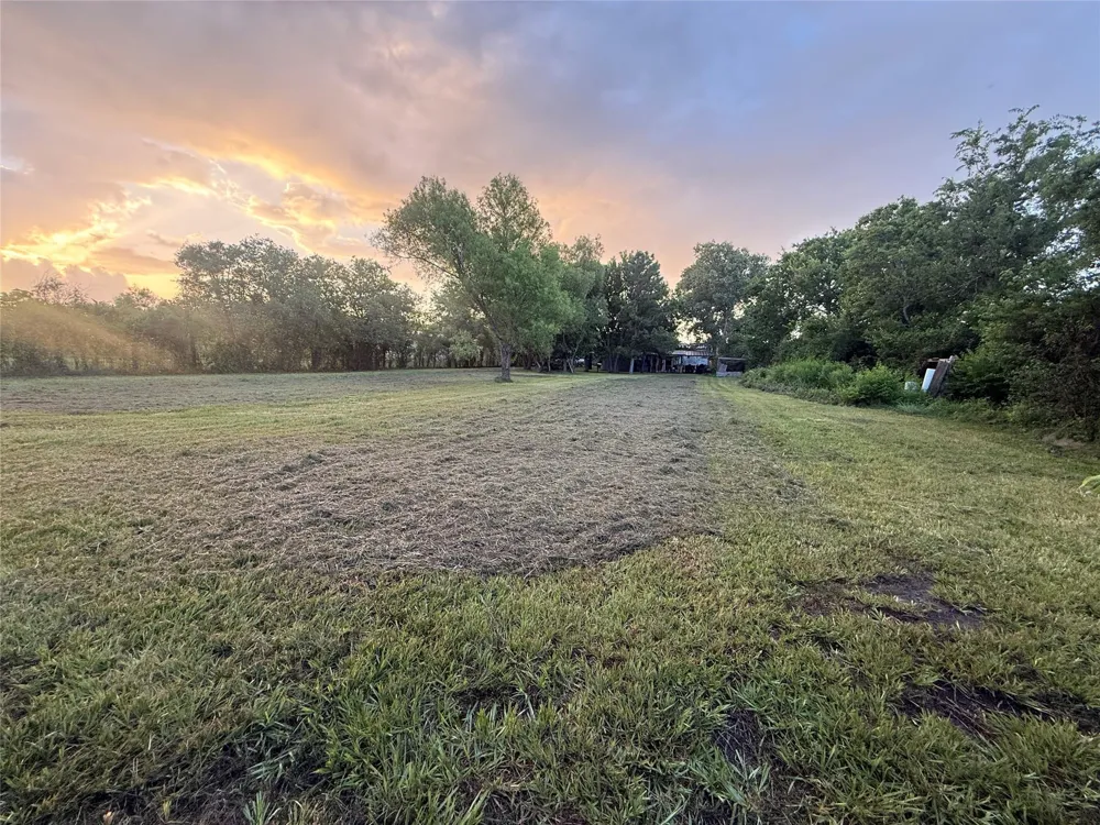 822 Wing Tip Court Rosharon, TX 77583