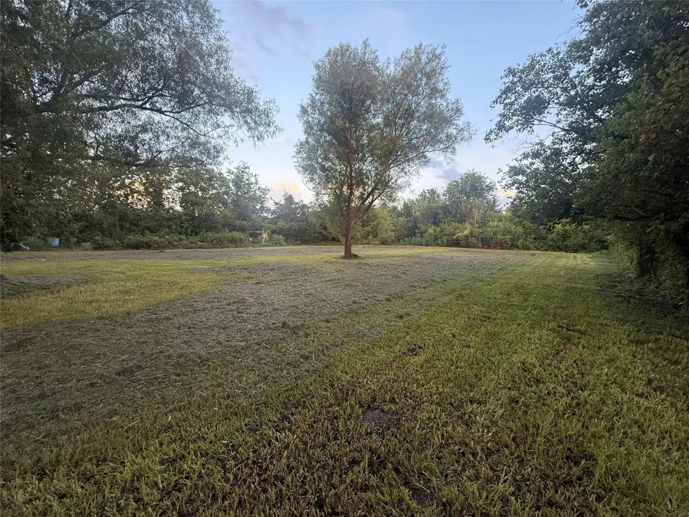 822 Wing Tip Court Rosharon, TX 77583