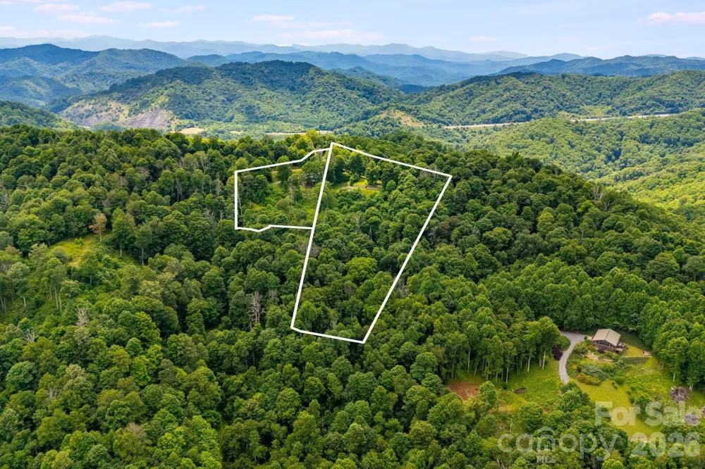 1185 & 1115 Black Bear Drive Mars Hill, NC 28754