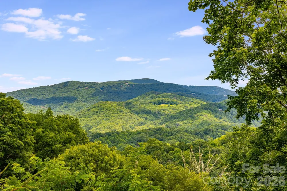 1185 & 1115 Black Bear Drive Mars Hill, NC 28754