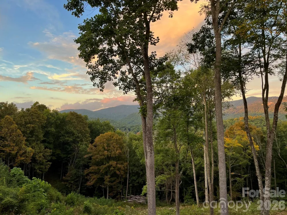 1185 & 1115 Black Bear Drive Mars Hill, NC 28754