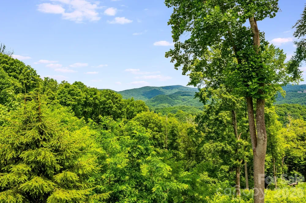 1185 & 1115 Black Bear Drive Mars Hill, NC 28754