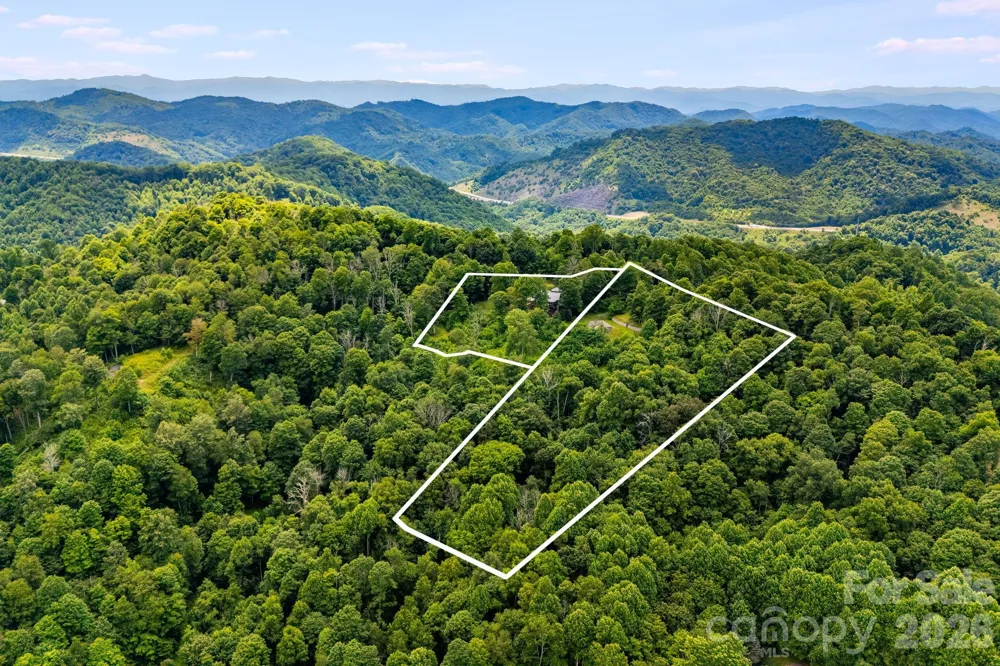 1185 & 1115 Black Bear Drive Mars Hill, NC 28754
