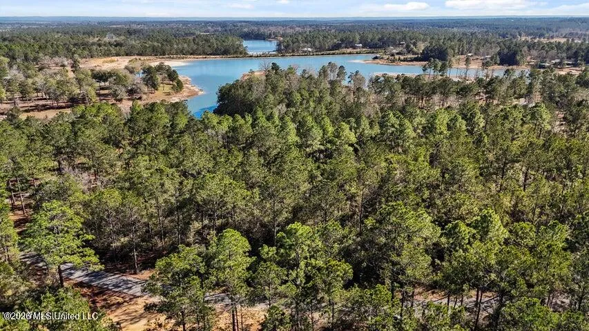 Lot 18 Mitchell Road Leakesville, MS 39451
