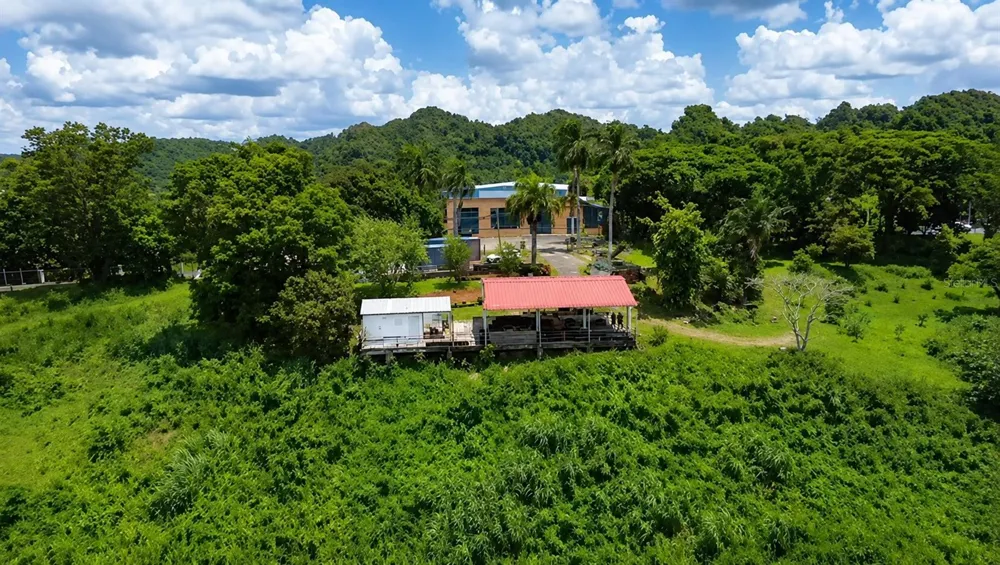BO. FRONTON CARR 146 KM 18.6 Ciales, PR 00638