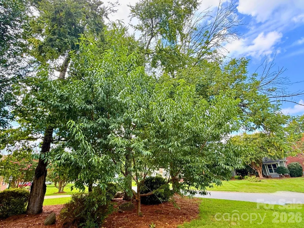 8601 Middleton Circle Harrisburg, NC 28075
