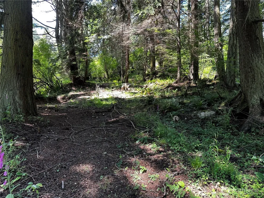 808 Roehl's Hill Rd. Road Orcas Island, WA 98245