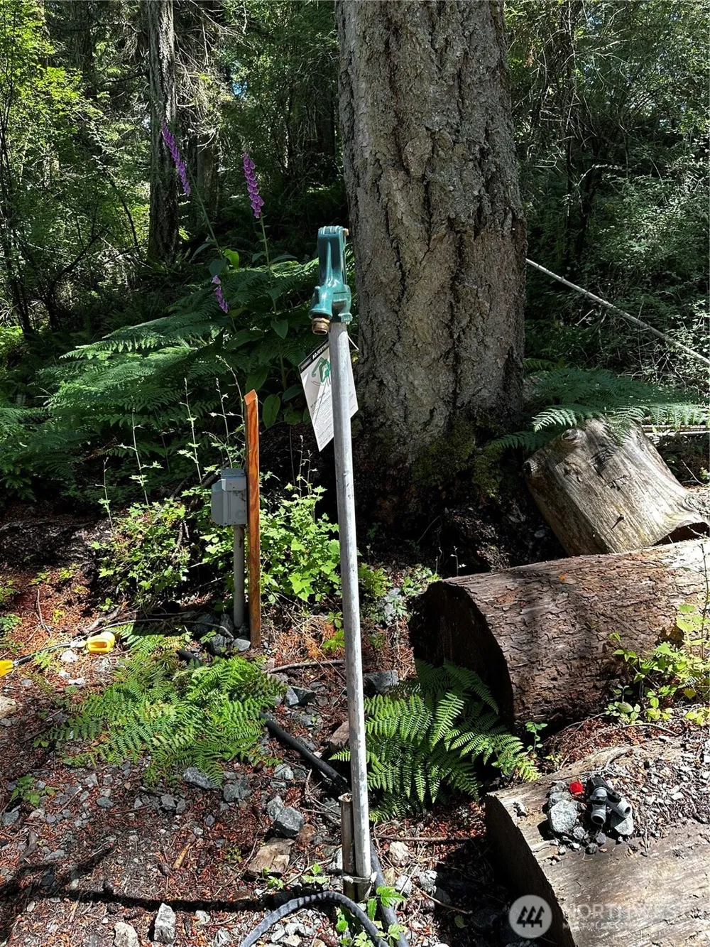 808 Roehl's Hill Rd. Road Orcas Island, WA 98245