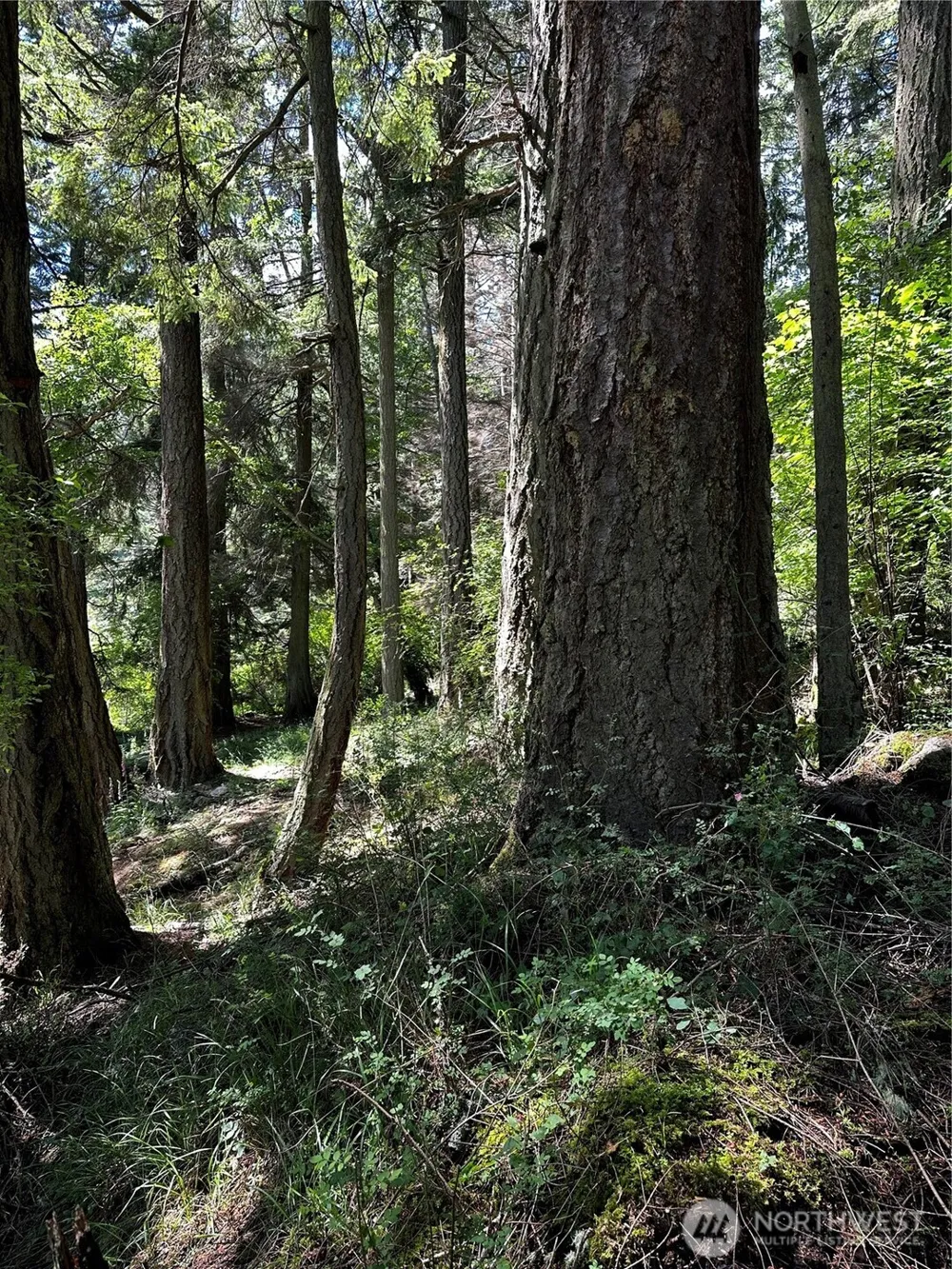 808 Roehl's Hill Rd. Road Orcas Island, WA 98245