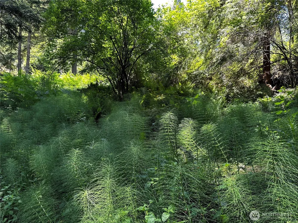 808 Roehl's Hill Rd. Road Orcas Island, WA 98245