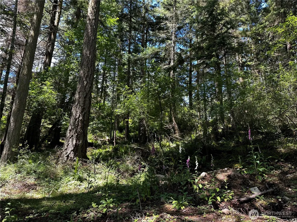 808 Roehl's Hill Rd. Road Orcas Island, WA 98245