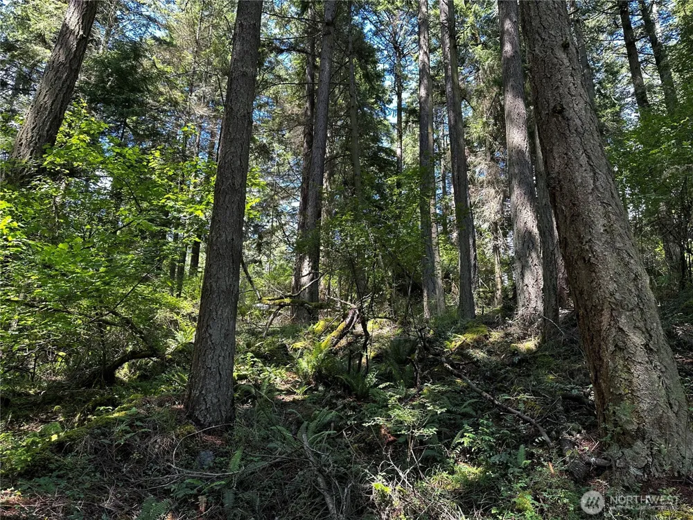808 Roehl's Hill Rd. Road Orcas Island, WA 98245