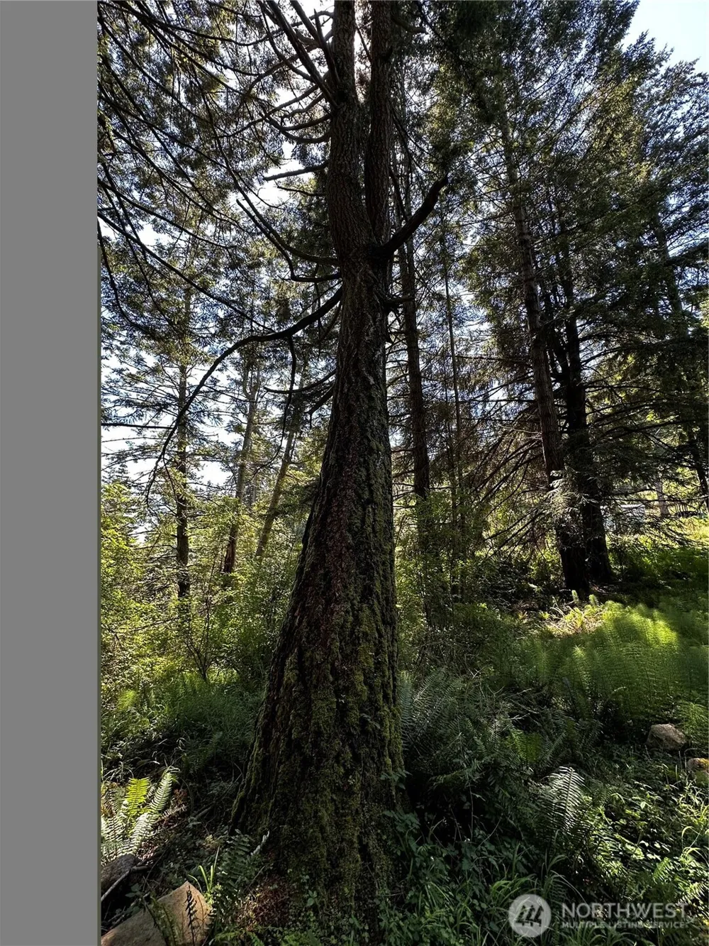 808 Roehl's Hill Rd. Road Orcas Island, WA 98245