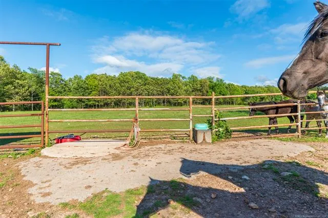 7885 E 590 Locust Grove, OK 74352