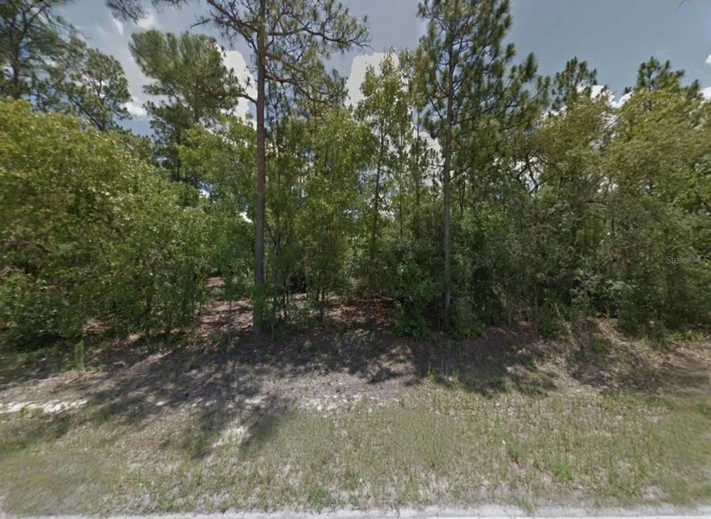9225 CITRUS SPRINGS BOULEVARD Citrus Springs, FL 34433