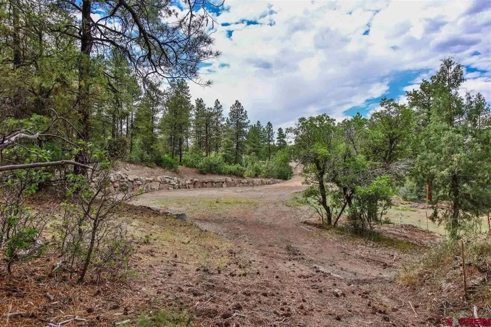 511 Cool Pines Drive Pagosa Springs, CO 81147