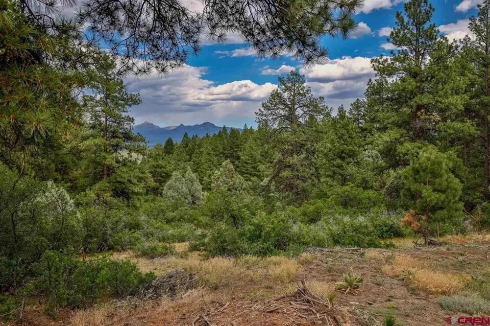 511 Cool Pines Drive Pagosa Springs, CO 81147