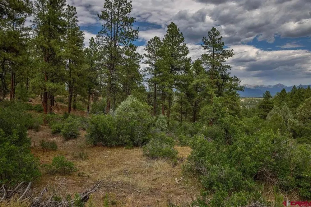 511 Cool Pines Drive Pagosa Springs, CO 81147