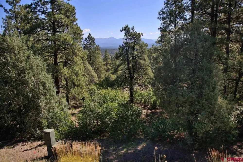511 Cool Pines Drive Pagosa Springs, CO 81147