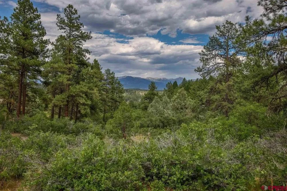 511 Cool Pines Drive Pagosa Springs, CO 81147