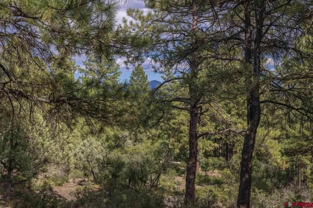511 Cool Pines Drive Pagosa Springs, CO 81147