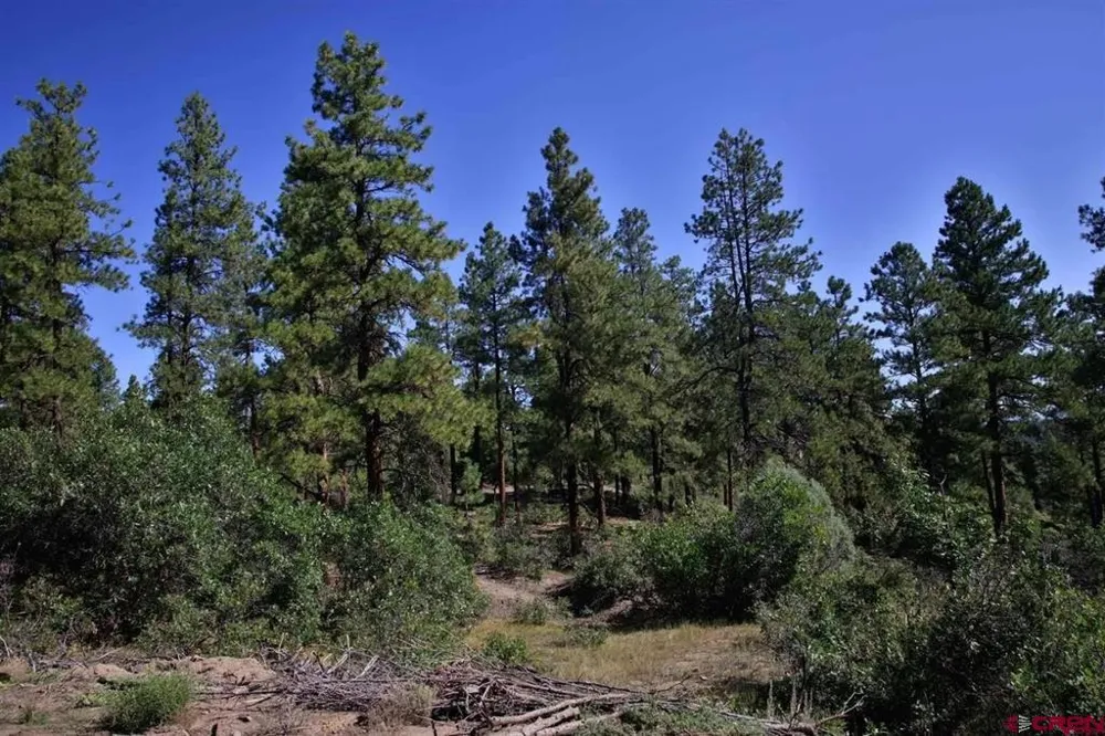 511 Cool Pines Drive Pagosa Springs, CO 81147
