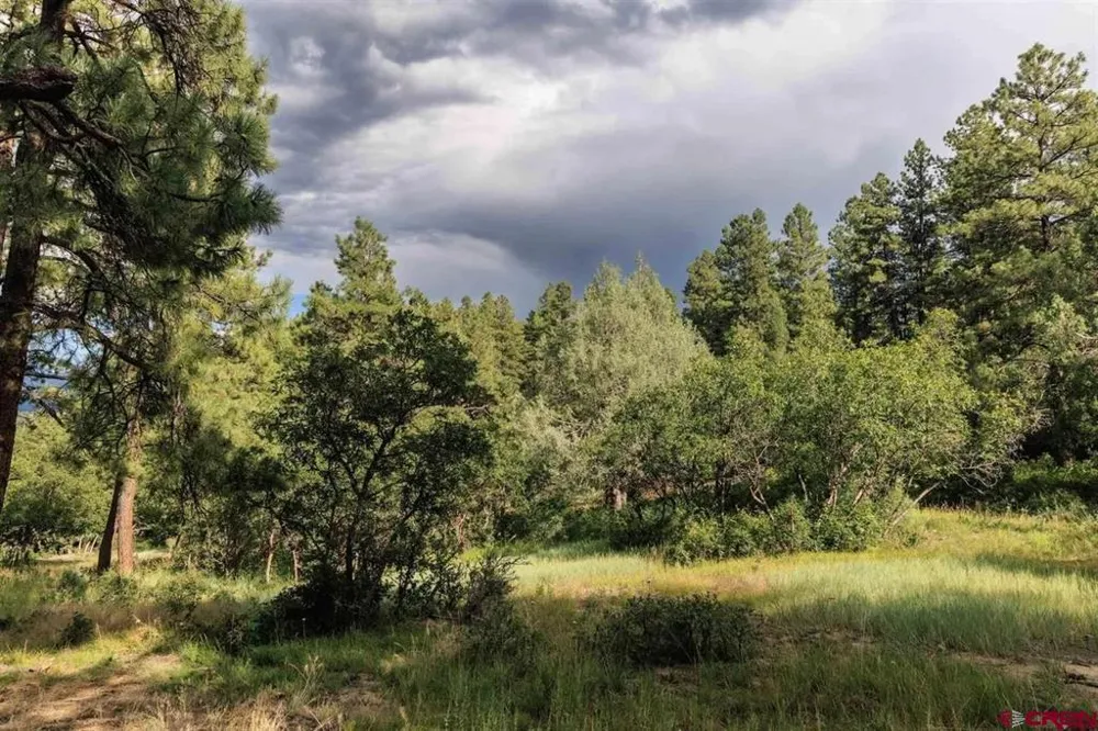 511 Cool Pines Drive Pagosa Springs, CO 81147
