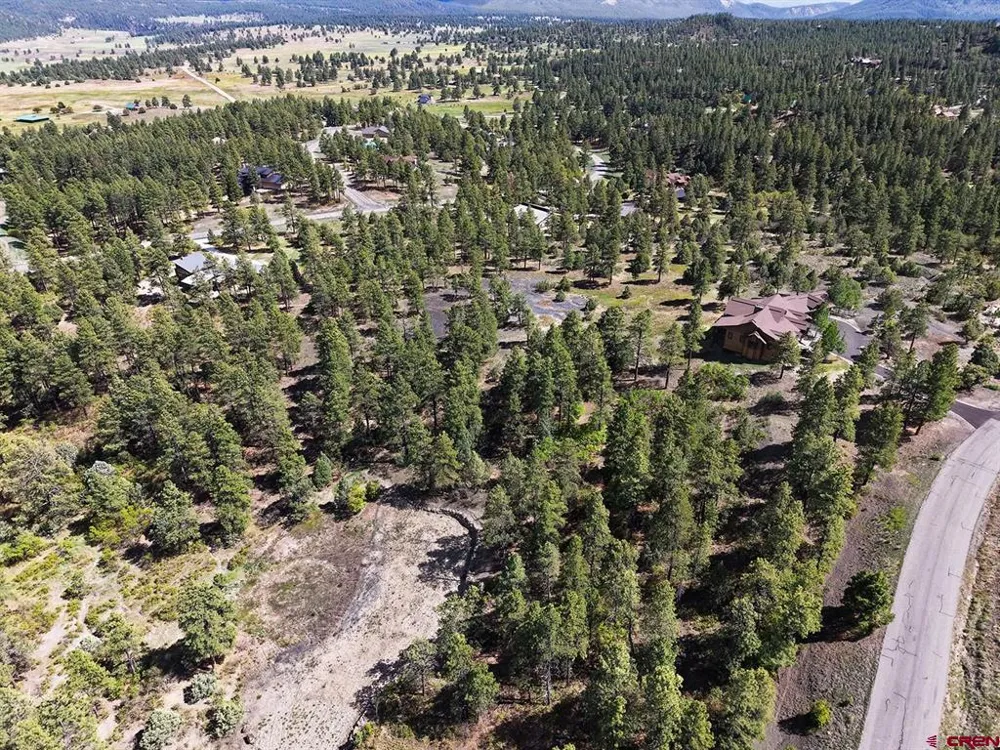 511 Cool Pines Drive Pagosa Springs, CO 81147